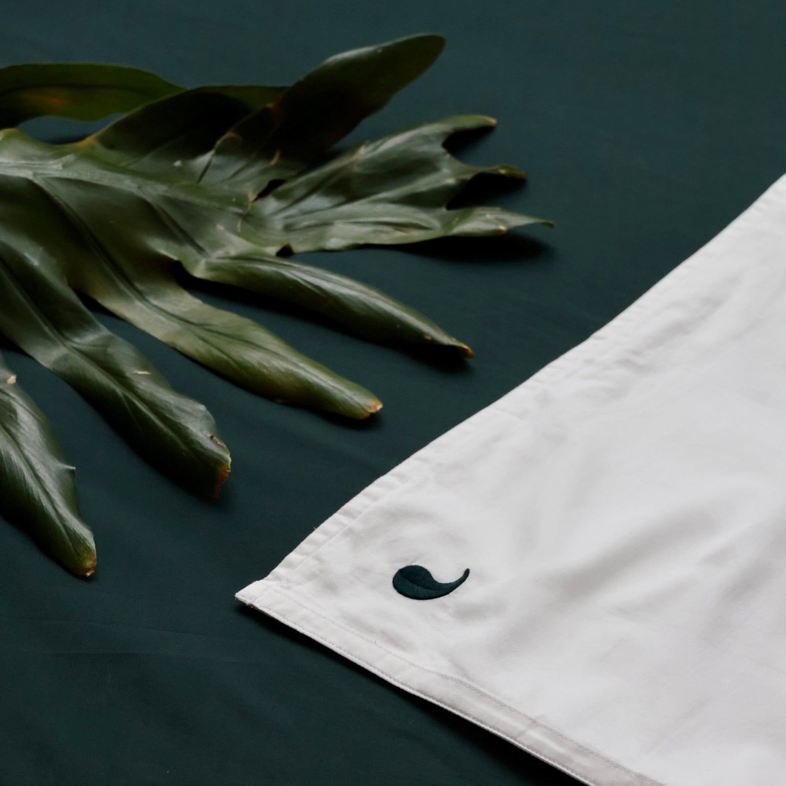 Flat sheets